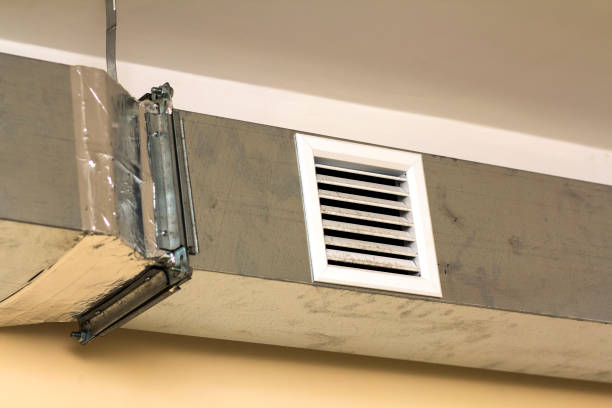 Best Air Duct Mold Removal  in USA